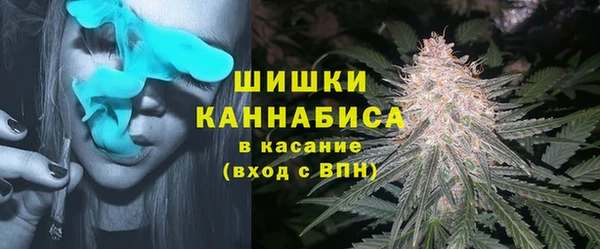эйфоретик Новодвинск
