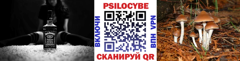 Галлюциногенные грибы Psilocybe  купить наркотик  KRAKEN ССЫЛКА  Сорочинск 